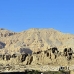 temple_habu_lux_h_0066_egy2220.jpg